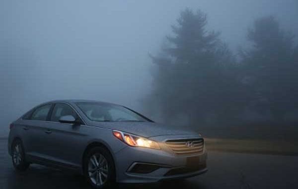 Right And Safe Driving In The Fog⠀