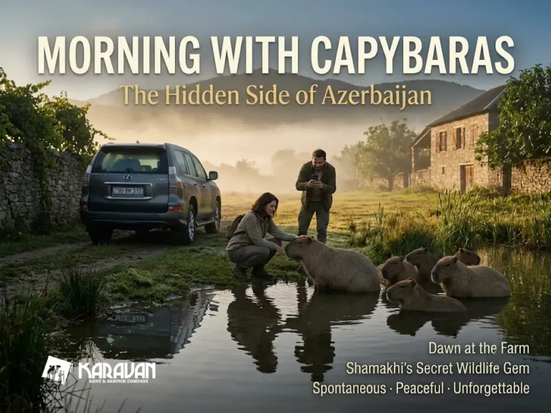 Shamakhi District Is Home To A Capybara Farm — Azerbaijan's Most Unexpected Animal Attraction