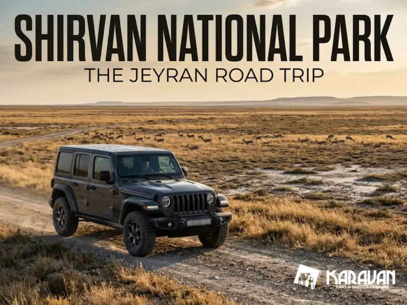 Shirvan National Park: How 77 Gazelles Became Thousands, And Why You Drive There Yourself