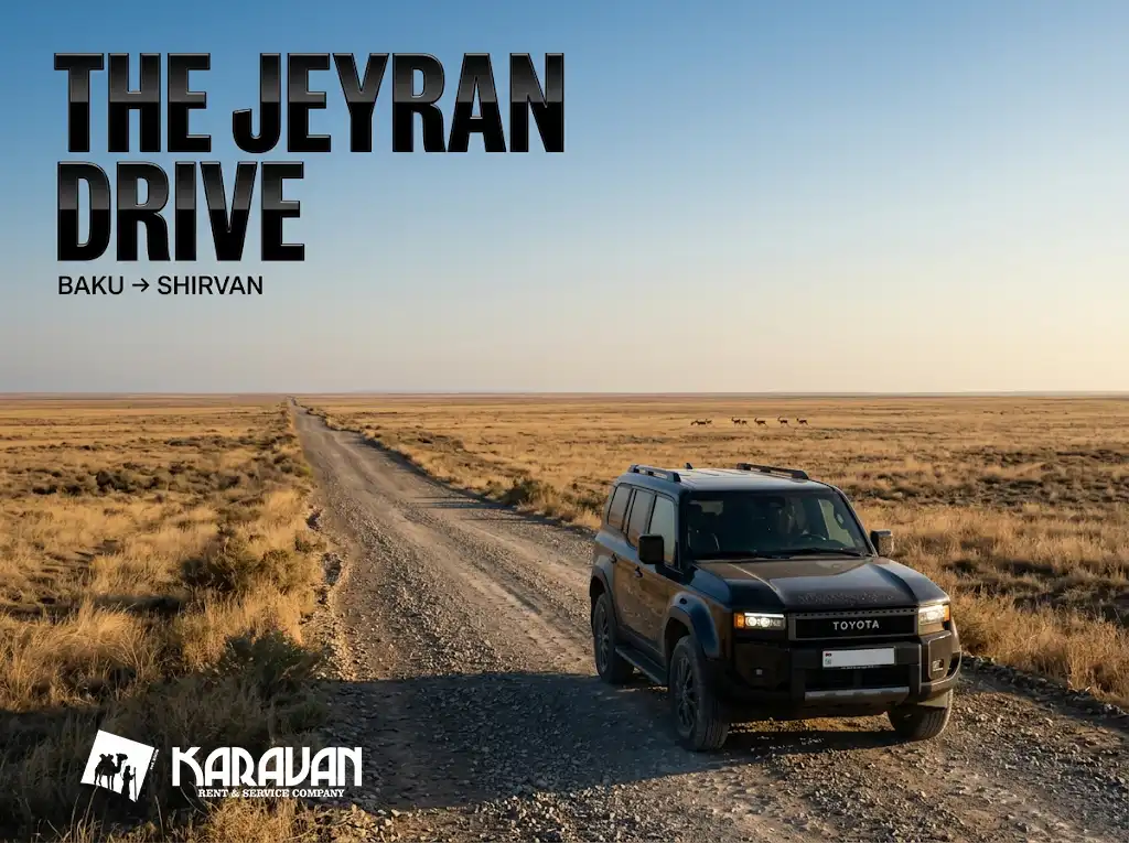 Shirvan National Park, 100&ndash;130 km from Baku: thousands of goitered gazelles, 200+ bird species, 2 manat entry. How to get there, when to go for gazelles, and why you need your own car.