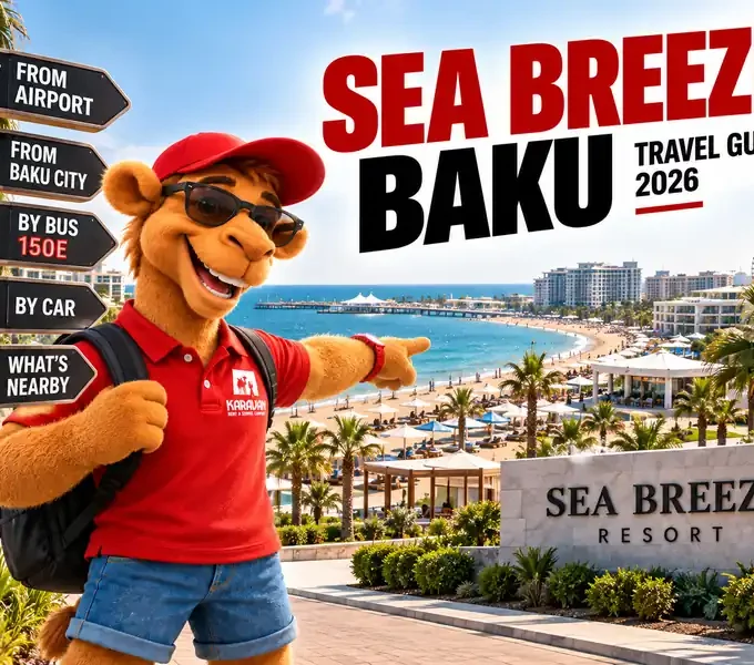 Car Rental Sea Breeze